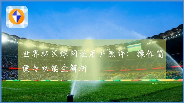 世界杯买球网址用户测评：操作简便与功能全解析