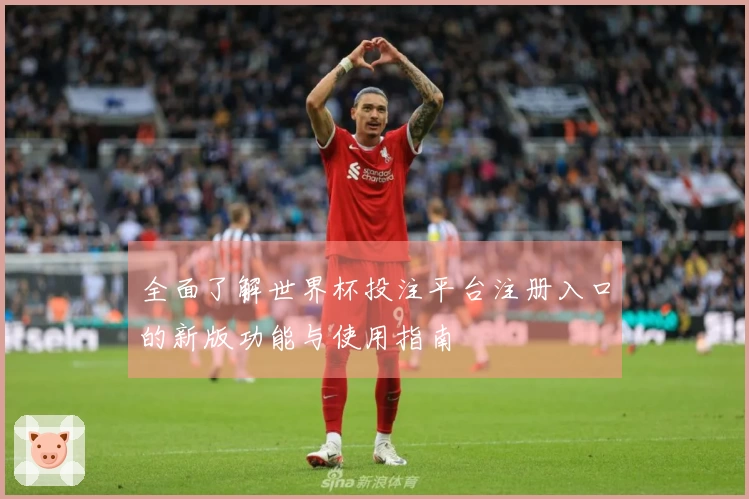 全面了解世界杯投注平台注册入口的新版功能与使用指南