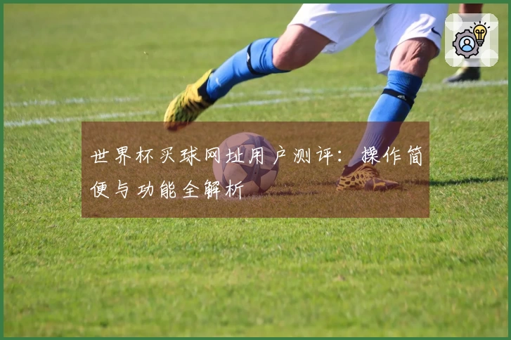 世界杯买球网址用户测评：操作简便与功能全解析