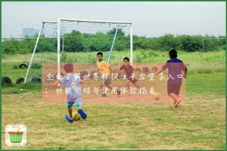 全面了解世界杯投注平台登录入口：功能介绍与使用体验指南
