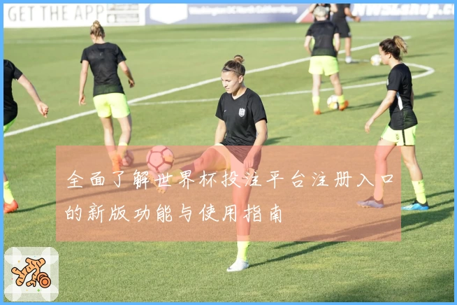 全面了解世界杯投注平台注册入口的新版功能与使用指南